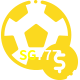 Aposte em esportes do mundo todo no SG777!